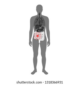 Vector isolated illustration of large and small intestine anatomy in male body. Human digestive system icon. Healthcare medical center, surgery, hospital, clinic logo. Internal organ symbol design. 