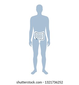 Vector isolated illustration of large and small intestine anatomy in male body. Human digestive system icon. Healthcare medical center, surgery, hospital, clinic logo. Internal organ symbol design. 