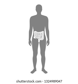 Vector isolated illustration of large and small intestine anatomy in male body. Human digestive system icon. Healthcare medical center, surgery, hospital, clinic logo. Internal organ symbol design. 