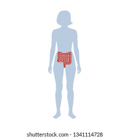 Vector isolated illustration of large and small intestine anatomy in male body. Human digestive system icon. Healthcare medical center, surgery, hospital, clinic logo. Internal organ symbol design. 