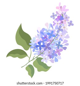 Vector isolated illustration of lilac branch. svg