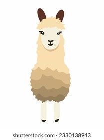 Vector isolated illustration of llama animal. Alpaca.