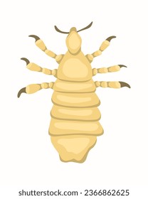Vector isolated illustration of louse. Human louse. The problem of pediculosis.