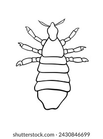Vector isolated illustration of louse. Human louse. The problem of pediculosis.	