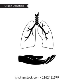 Vector isolated illustration of lung anatomy. Human respiratory system icon. Healthcare medical center, surgery, hospital, clinic, diagnostic logo. Internal donor organ symbol poster design. donation