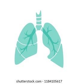 Vector Isolated Illustration Lung Anatomy Human Stock Vector (Royalty ...