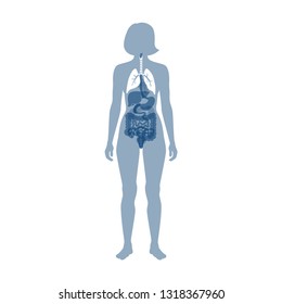 Vector isolated illustration of lung anatomy. Human respiratory system icon. Healthcare medical center, surgery, hospital, clinic, diagnostic logo. Internal donor organ symbol poster design. donation