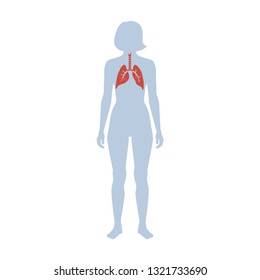 Vector isolated illustration of lung anatomy. Human respiratory system icon. Healthcare medical center, surgery, hospital, clinic, diagnostic logo. Internal donor organ symbol poster design. donation