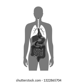 Vektorgrafik der Lungenanatomie. Symbol für das menschliche Atemsystem. Gesundheitszentrum, Chirurgie, Krankenhaus, Klinik, Diagnostiklogo. Internes Spenderorgan-Symbol Plakatdesign. Spende