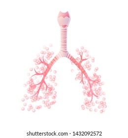 Vector isolated illustration of lung anatomy with cancer tumor. Human respiratory system icon. Healthcare medical center, surgery, hospital, clinic logo. Internal donor organ symbol poster