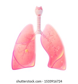 Vector isolated illustration of lung anatomy with tumor. Human respiratory system icon. First of four stages of lungs cancer. Internal donor organ symbol poster. Image 1 of 4.