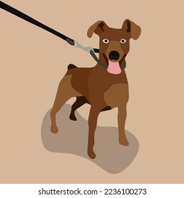 Ilustración aislada vectorial de un perro con pinzas en miniatura.