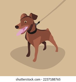 Vector isolated illustration of a miniature pinscher dog.