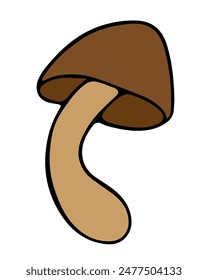 Vector isolated illustration of a mushroom on a white background.
