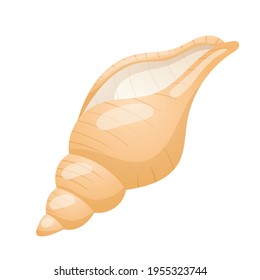 Vector isolated illustration on white background. A realistic seashell with a fancy shape. Decoration or design element.