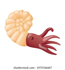 Vector isolated illustration on white background. Cartoon picture of nautilus, sea mollusk. Decor element on the theme of marine life and summer holidays.