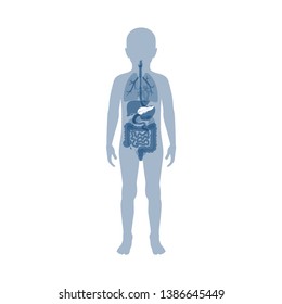 Vector isolated illustration of pancreas anatomy in boy body. Human digestive system icon. Internal child organ symbol poster design. Donation 