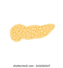 Vector isolated illustration of pancreas anatomy. Human digestive system icon. Healthcare medical center, surgery, hospital, clinic, diagnostic logo. Internal organ symbol poster design. Donation