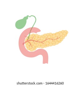 Vector isolated illustration of pancreas, duodenum and gallbladder anatomy. Human digestive system icon. Healthcare medical center, hospital, clinic logo. Internal organ symbol poster design