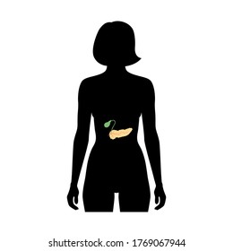 Ilustración aislada de páncreas, duodeno y anatomía de vesícula en el cuerpo femenino. Icono del sistema digestivo humano. Centro médico, hospital, logotipo de la clínica. Cartel de símbolo de órgano interno