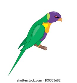 Vector isolated illustration of parrot on a perch