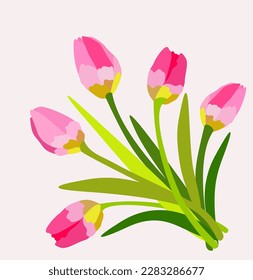 Vector isolated illustration of pink tulips.