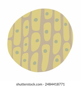 Vector isolated illustration of plant cell structure.