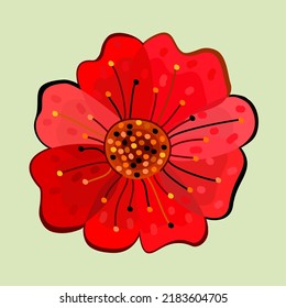 Vector isolated illustration of poppy flower.