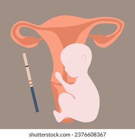 Vector isolated illustration of pregnancy. Trying to conceive. Health of a pregnant woman. Appointment with a gynecologist during pregnancy. Reproductive medicine.