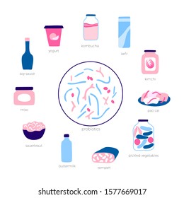 Vector isolated illustration of probiotic reach, fermented, food. Pickled vegetables, dairy products, kombucha, soy souce icon. Medical infographics for poster, educational, science 