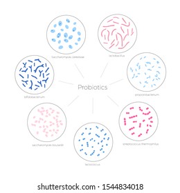 Vector isolated illustration of probiotics,  good beneficial bacteria and microorganisms. Lactobacillus, bifidobacteria, streptococcus icon. Medical infographics for poster, educational, science 