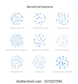 Vector Isolated Illustration Of Probiotics,  Good Beneficial Bacteria And Microorganisms. Lactobacillus, Bifidobacteria, Streptococcus Icon. Medical Infographics For Poster, Educational, Science 