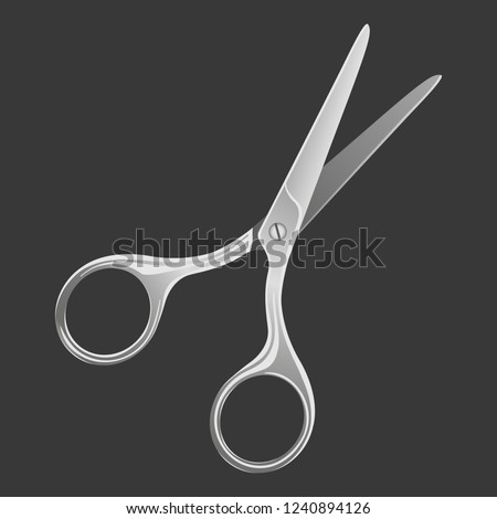 Vector isolated illustration of realistic metal hair scissors.