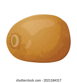 Vector isolated illustration of a realistic whole kiwi. A healthy tropical vitamin fruit.