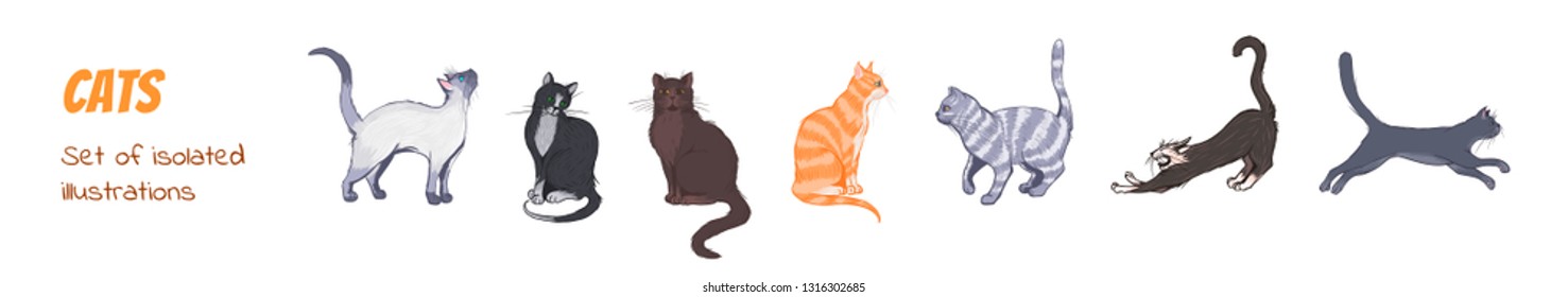 Vector isolated illustration set of cats of different costumes in different poses. Design elements for animal printed products or cute postcards.