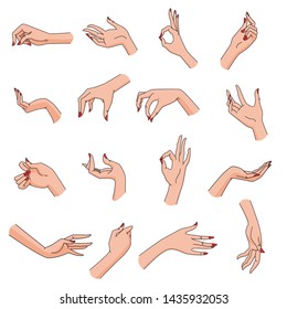 Vector isolated illustration. Set of delicate woman hands hold gestures