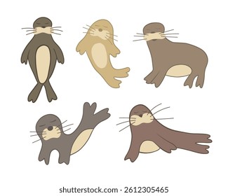 Vector isolated illustration of a set of fur seals on a white background.