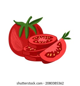 Vector isolated illustration with set tomatoes in different states. There are sliced, whole vegetables, pieces. Concept nightshade family, food, vegetable, organic, natural food.