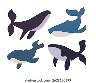 Vector aislado ilustración de un conjunto de ballenas sobre un fondo blanco.