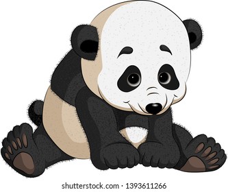 vector isolated  illustration of a sitting panda
