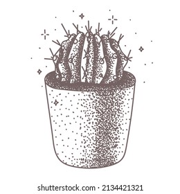 Vector isolated illustration of a sketch small round cactus in a pot on a wnite background. Succulent house plant hand drawn art