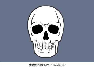 Vector Isolated Illustration of a Skull 