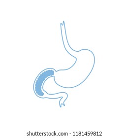 Vector isolated illustration of stomach anatomy. Human digestive system icon. Healthcare medical center, surgery, hospital, clinic, diagnostic logo. Internal organ symbol poster design. Donation 