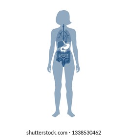 Vector isolated illustration of stomach anatomy. Human digestive system icon. Healthcare medical center, surgery, hospital, clinic, diagnostic logo. Internal organ symbol poster design. Donation 