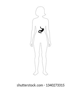 Vector isolated illustration of stomach anatomy. Human digestive system icon. Healthcare medical center, surgery, hospital, clinic, diagnostic logo. Internal organ symbol poster design. Donation 