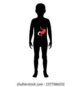 Vector isolated illustration of stomach anatomy in boy body. Human digestive system icon. Healthcare medical center, surgery, hospital, clinic, diagnostic logo. Internal child organ design. Donation 