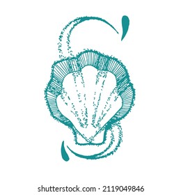 Vector isolated illustration of a teal sea shell and a letter S on a white background. Hand drawn art. Sketch logo style