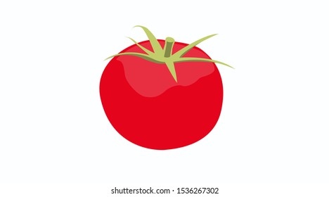Vector Isolated Illustration of a Tomato