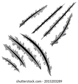 Vector isolated illustration with traces of scratches from wild animal, cat claws, paws. You can use elements, objects for the web design, banners, etc. The concept of aggression, passion.