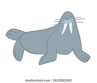 Vector isolated illustration of a walrus on a white background.